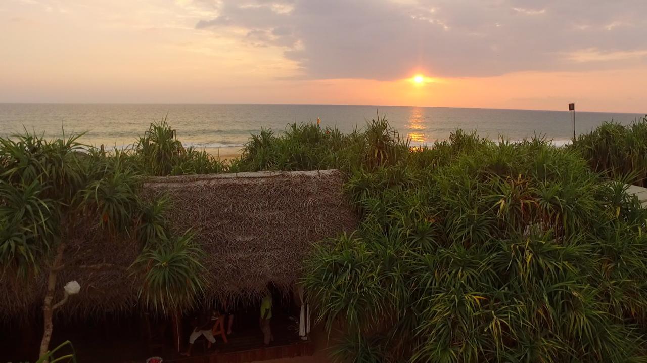 Jungle Beach Ahungalla Extérieur photo