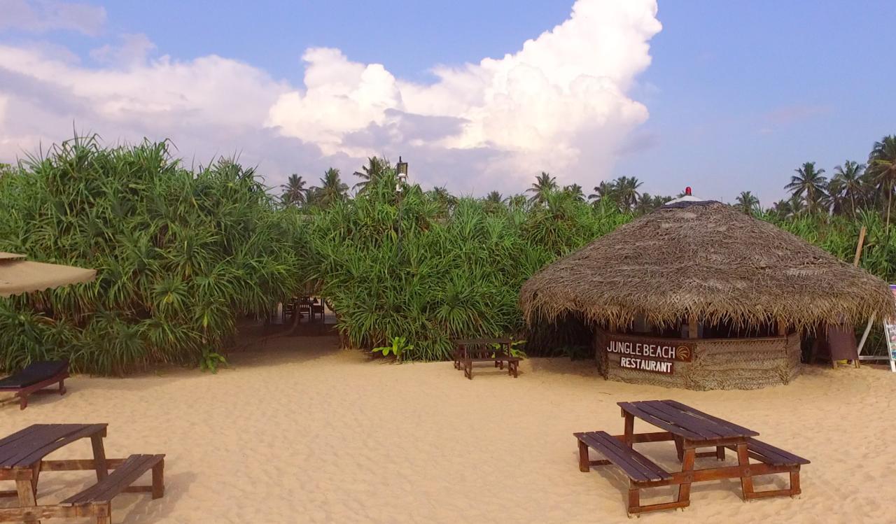 Jungle Beach Ahungalla Extérieur photo